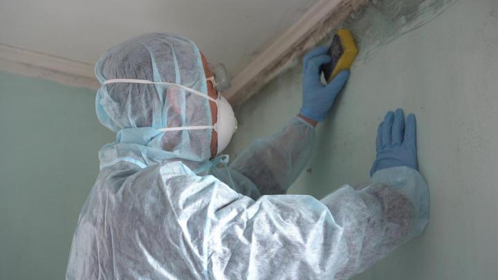 Des experts en désinfection à Laval